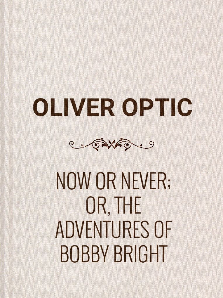 Now or Never; Or, The Adventures of Bobby Bright