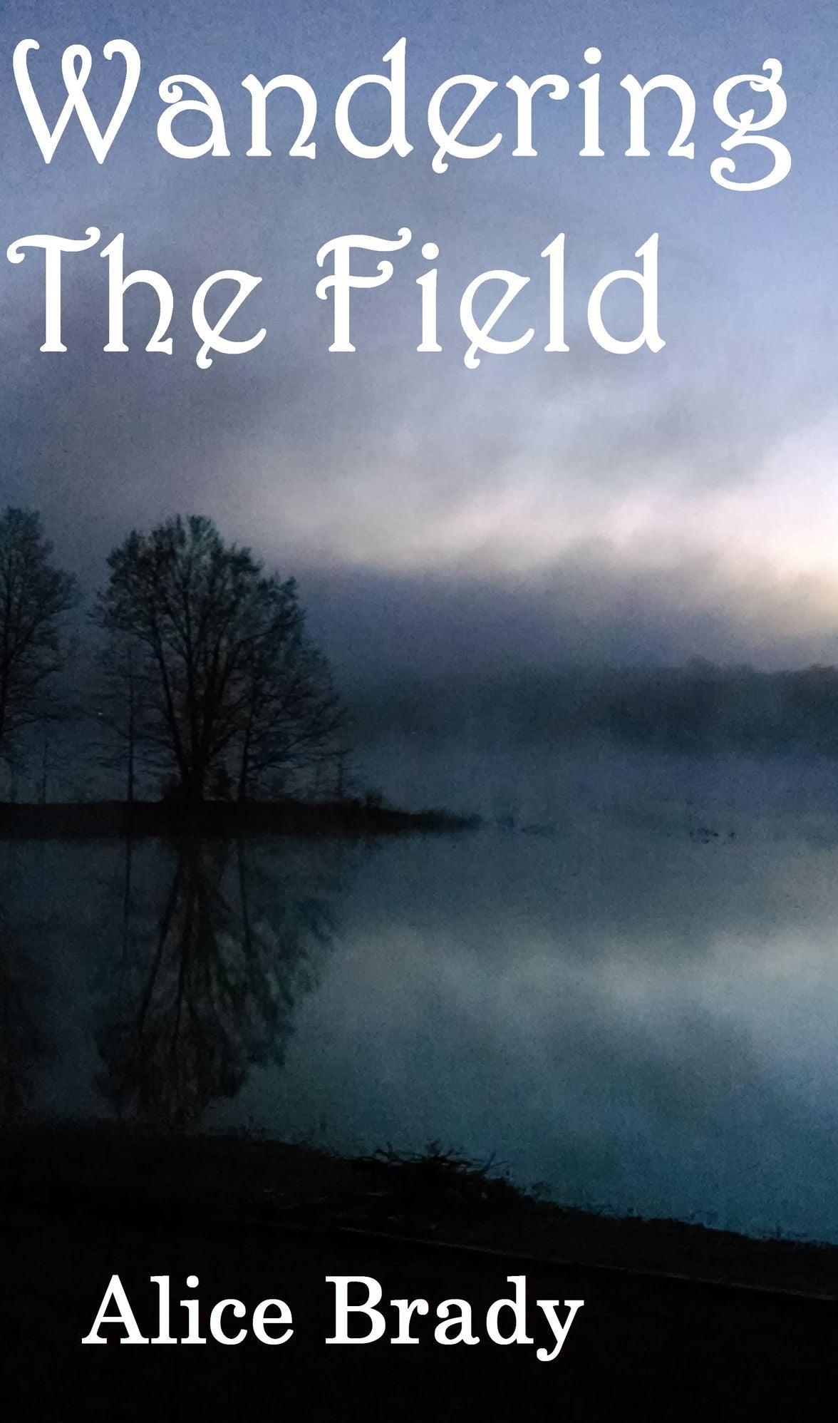 Wandering The Field