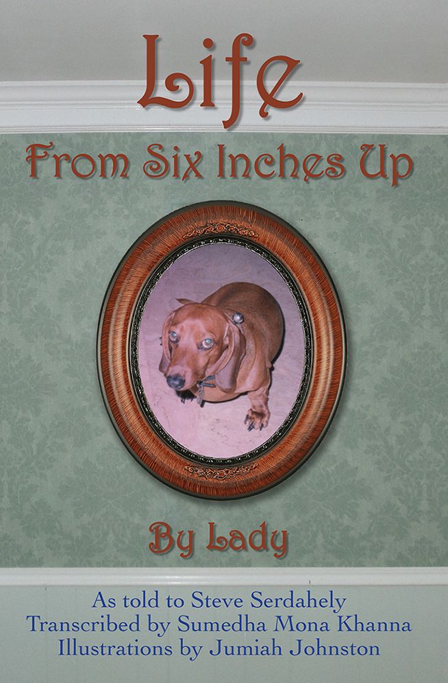 Life From Six Inches Up
