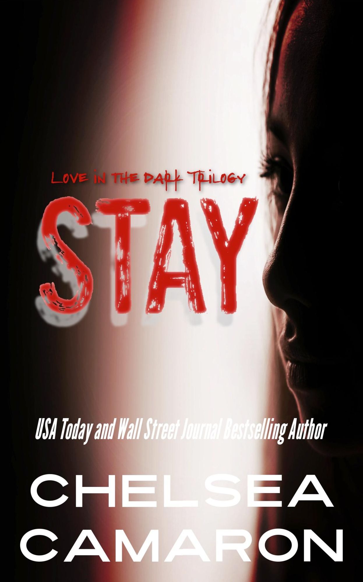 Stay (A Dark Romance)