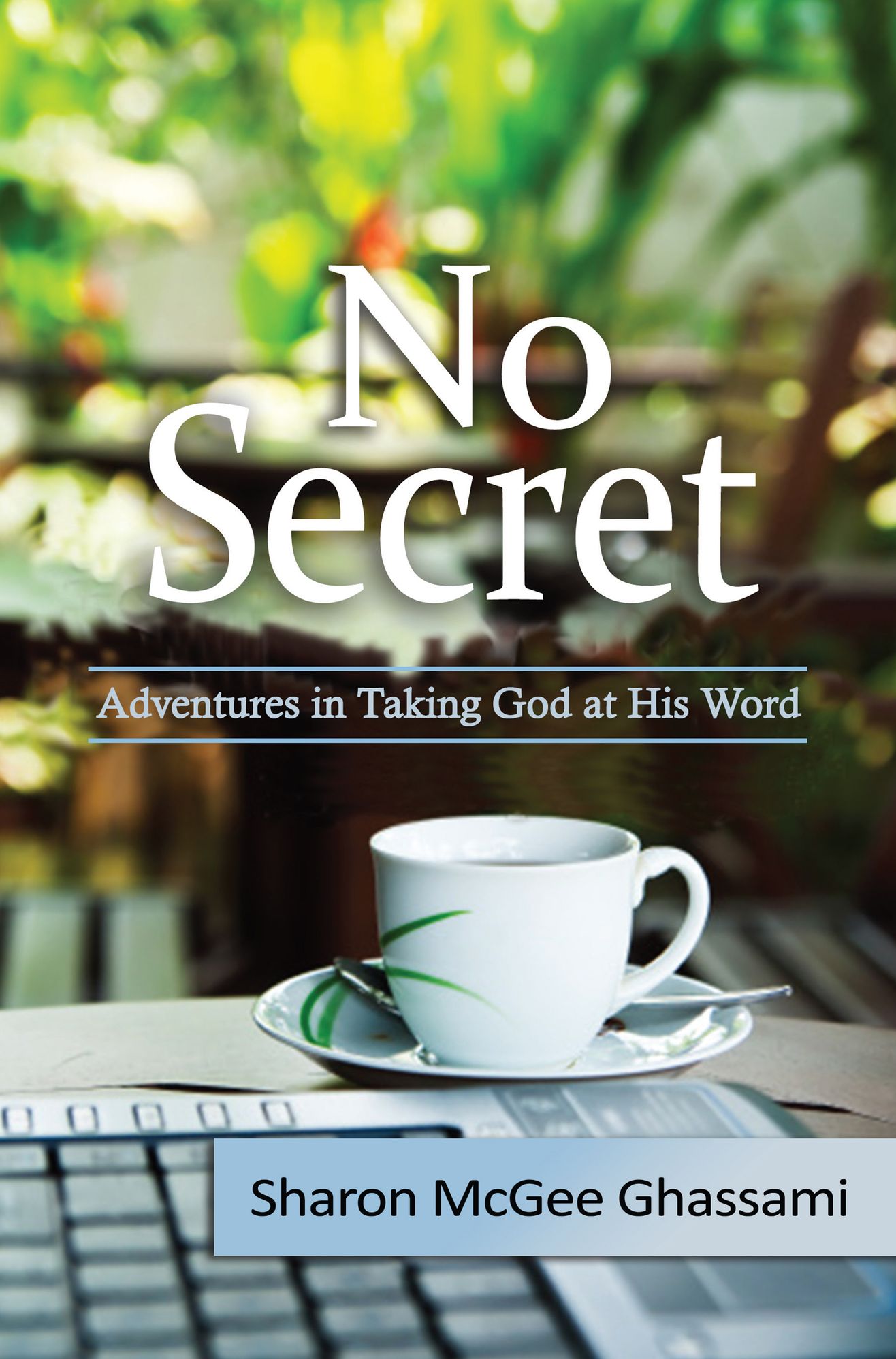 No Secret: Adventures in Taking God at His Word