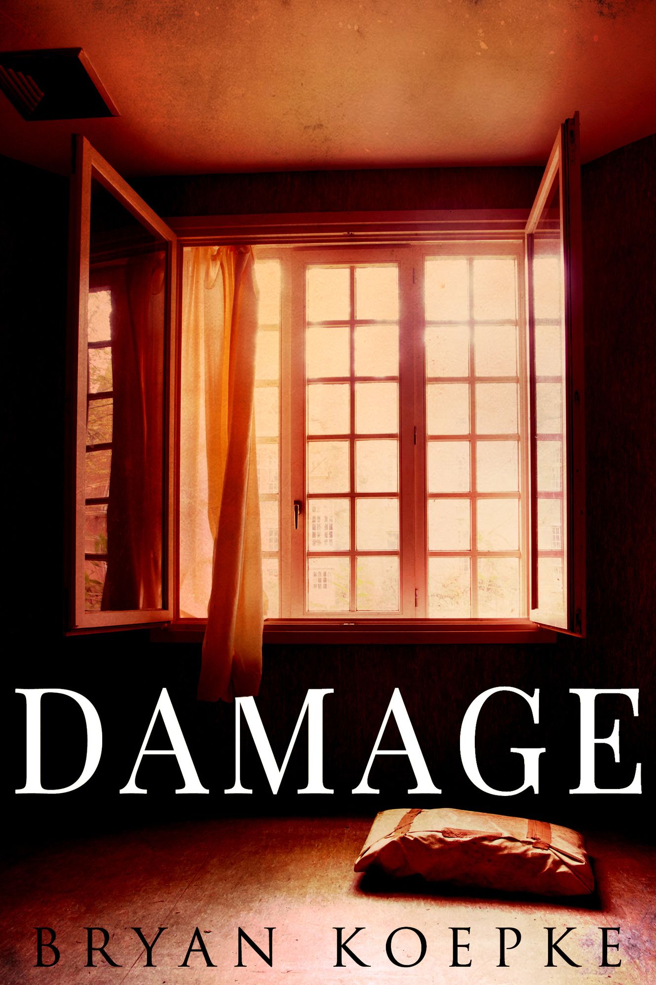 Damage - A Reece Culver Thriller Novella