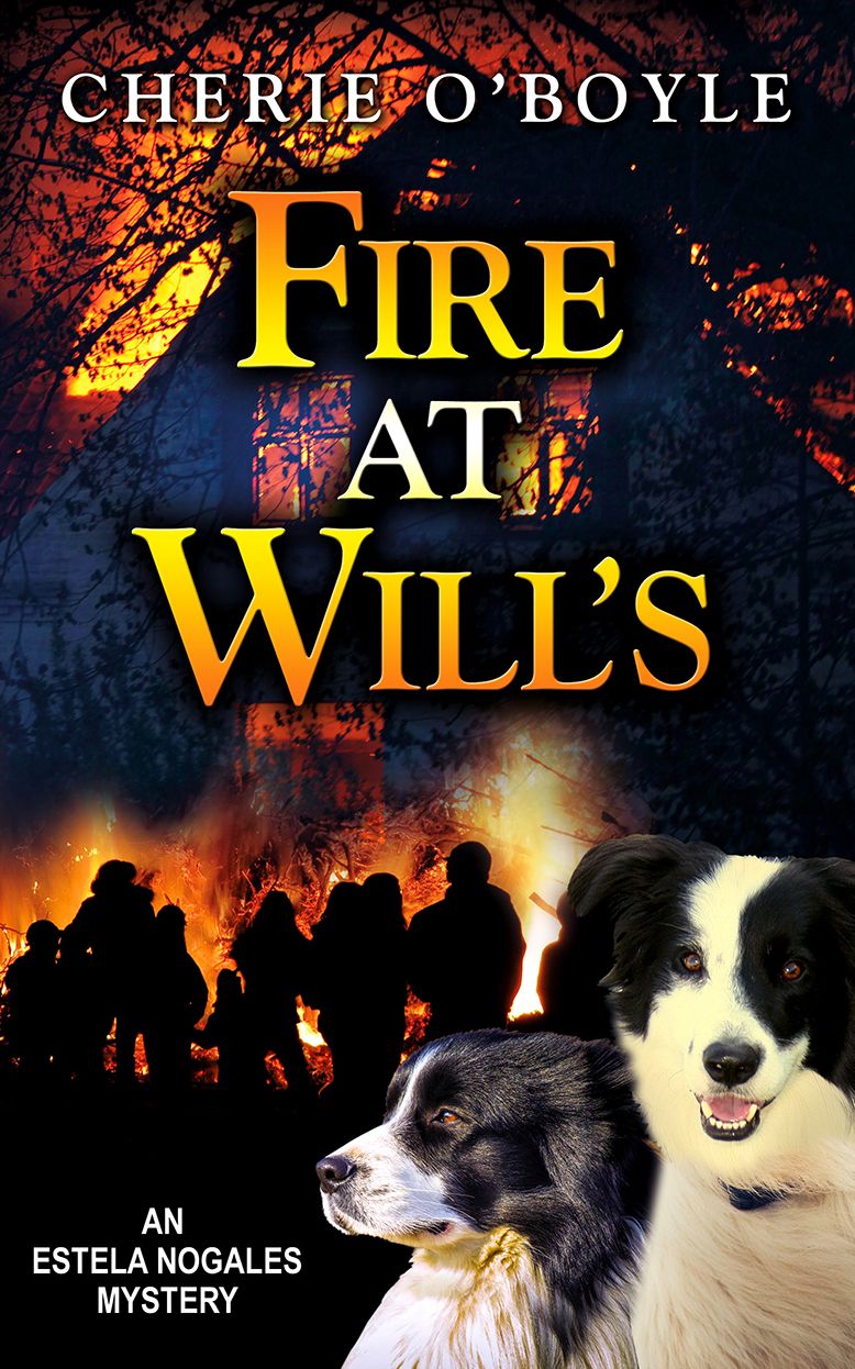 Fire At Wills