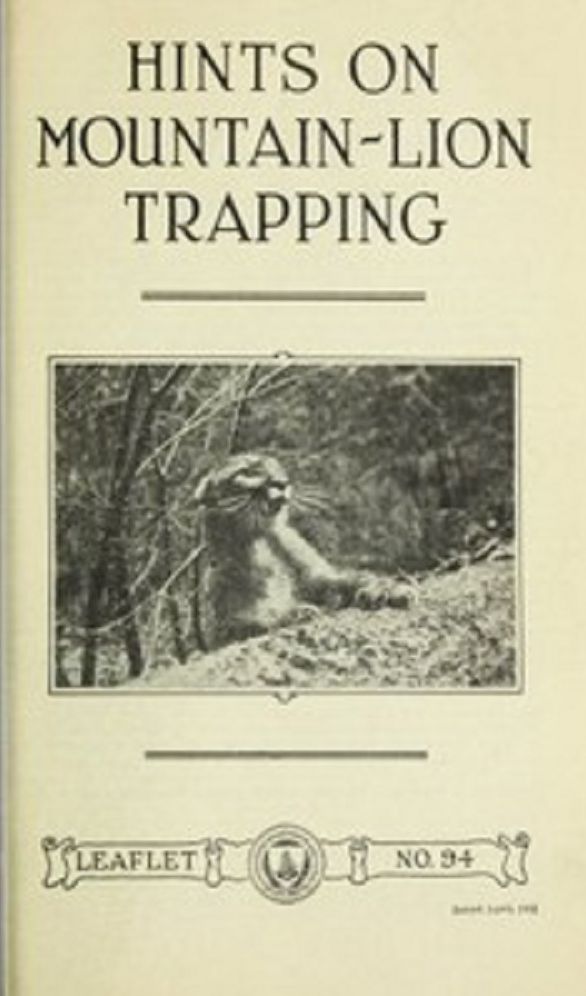 Hints on Mountain-Lion Trapping (Illustrated)