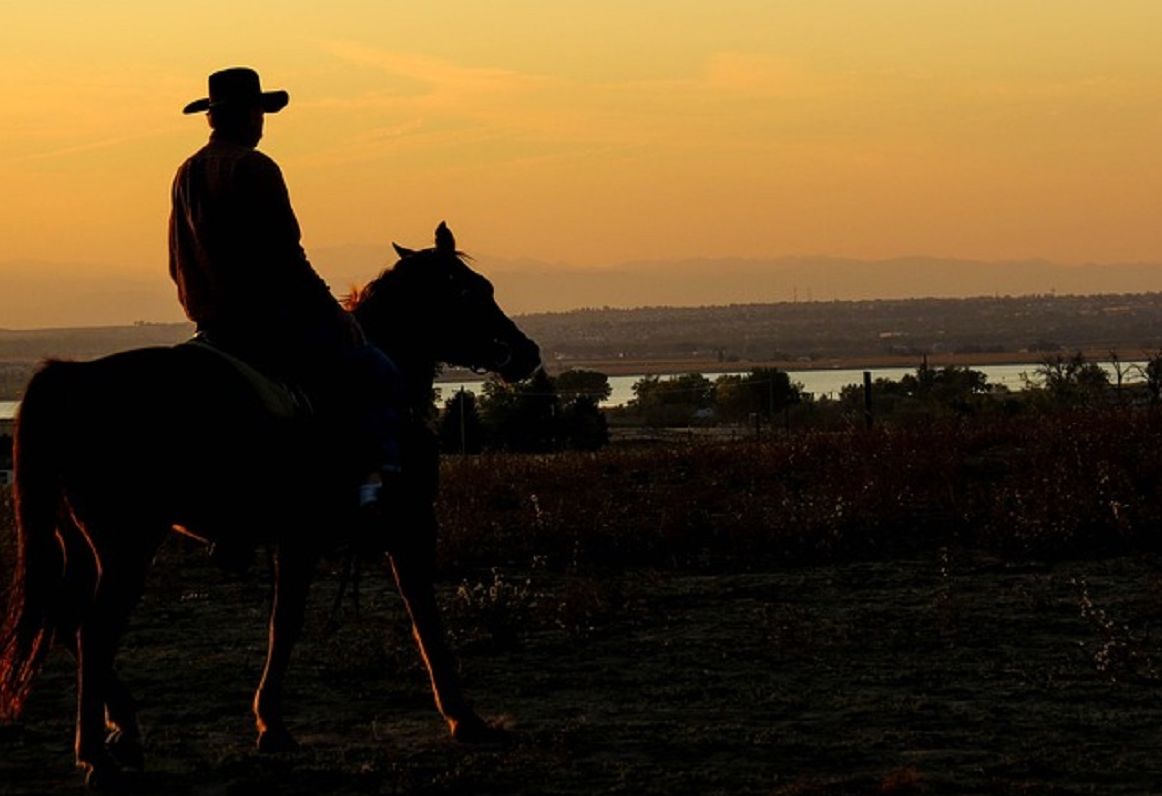 MAJESTY'S RANCHO