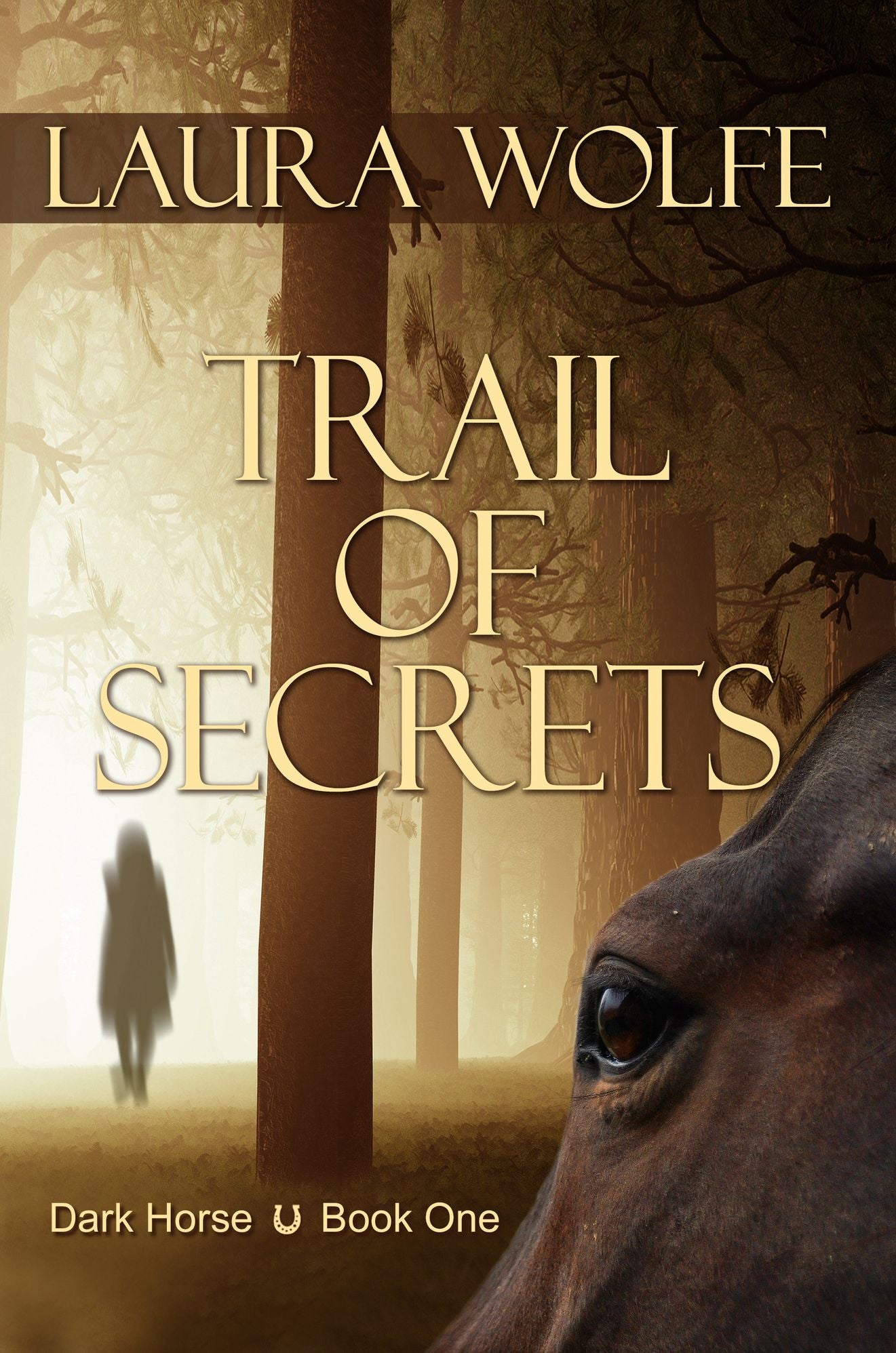 Trail of Secrets
