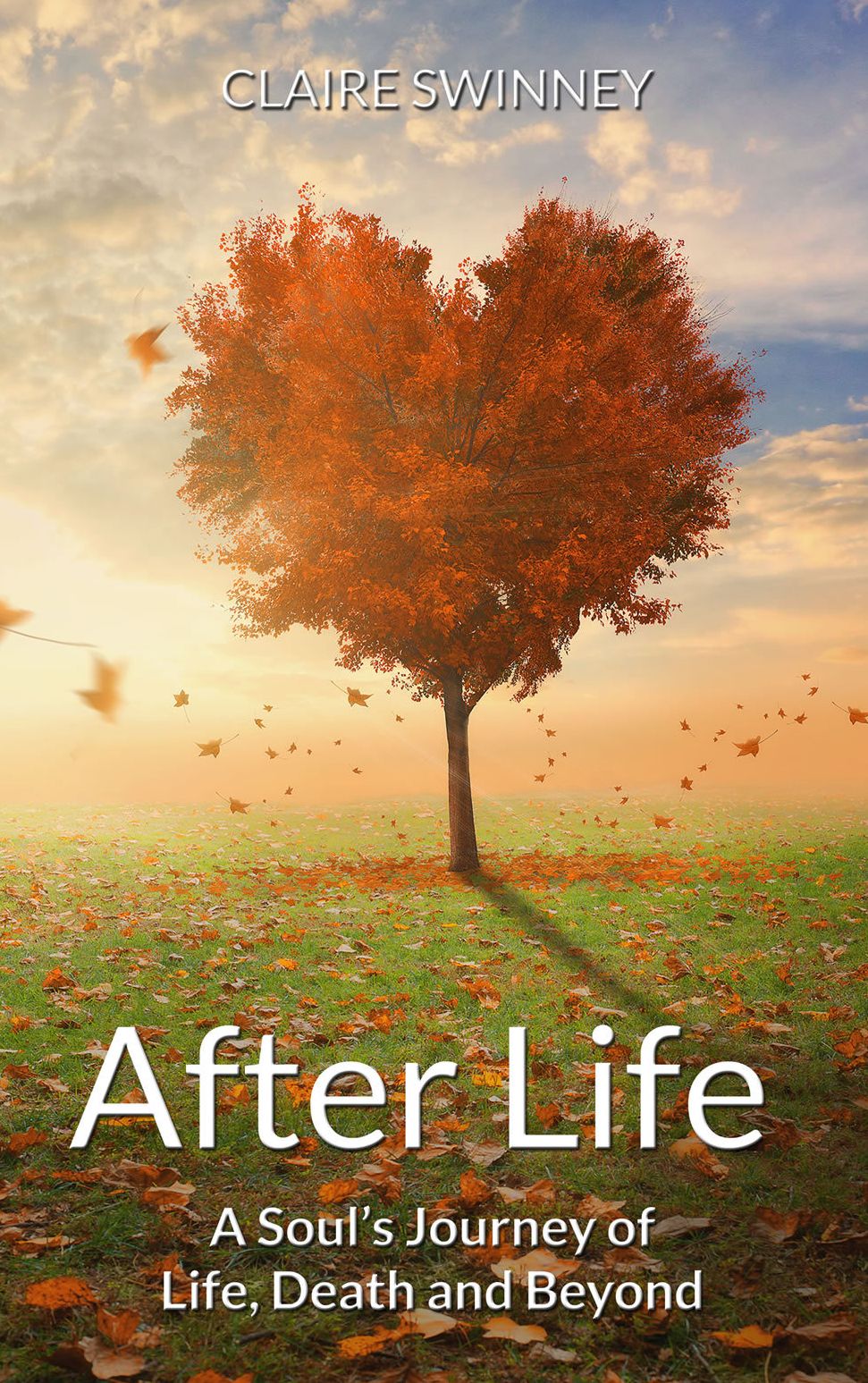 AFTER LIFE: A Soul's Journey of Life, Death and Beyond