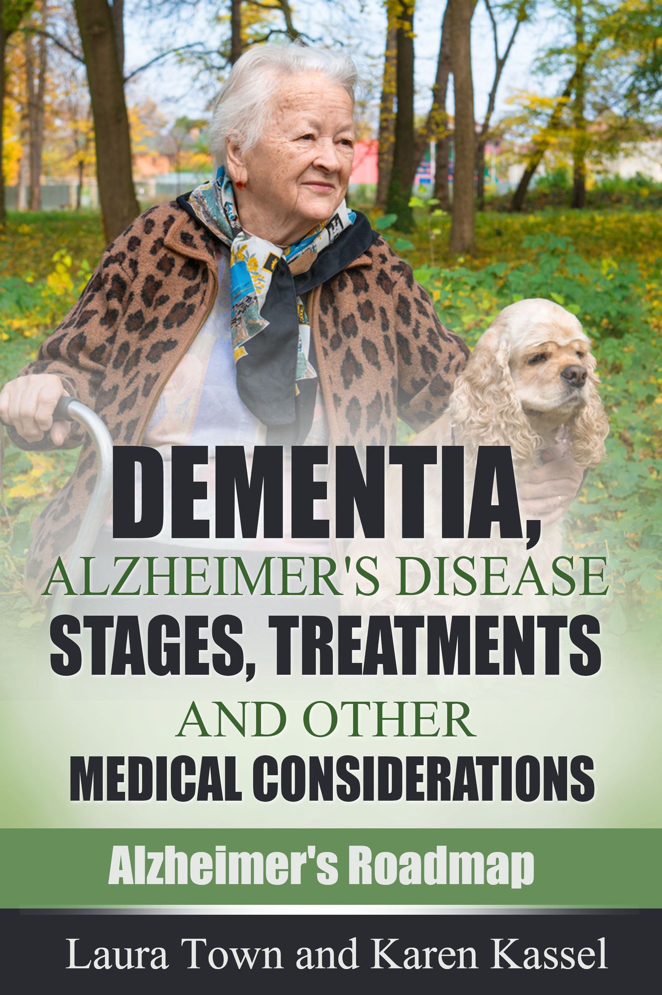 Dementia, Alzheimer's Disease, Stages, Treatments, and Other Medical Considerations