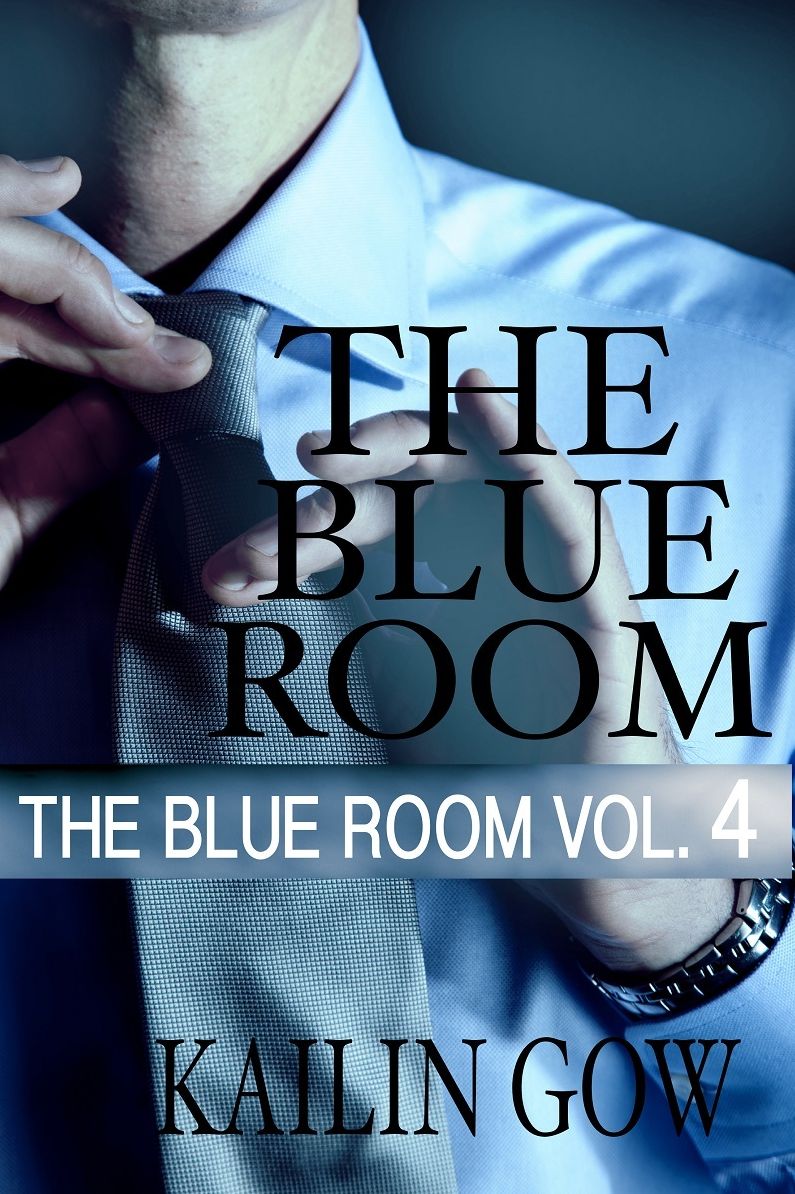 Blue Room Vol. 4 (Blue Room Series)