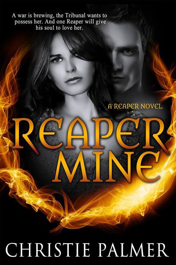 Reaper Mine (A Reaper Novel)
