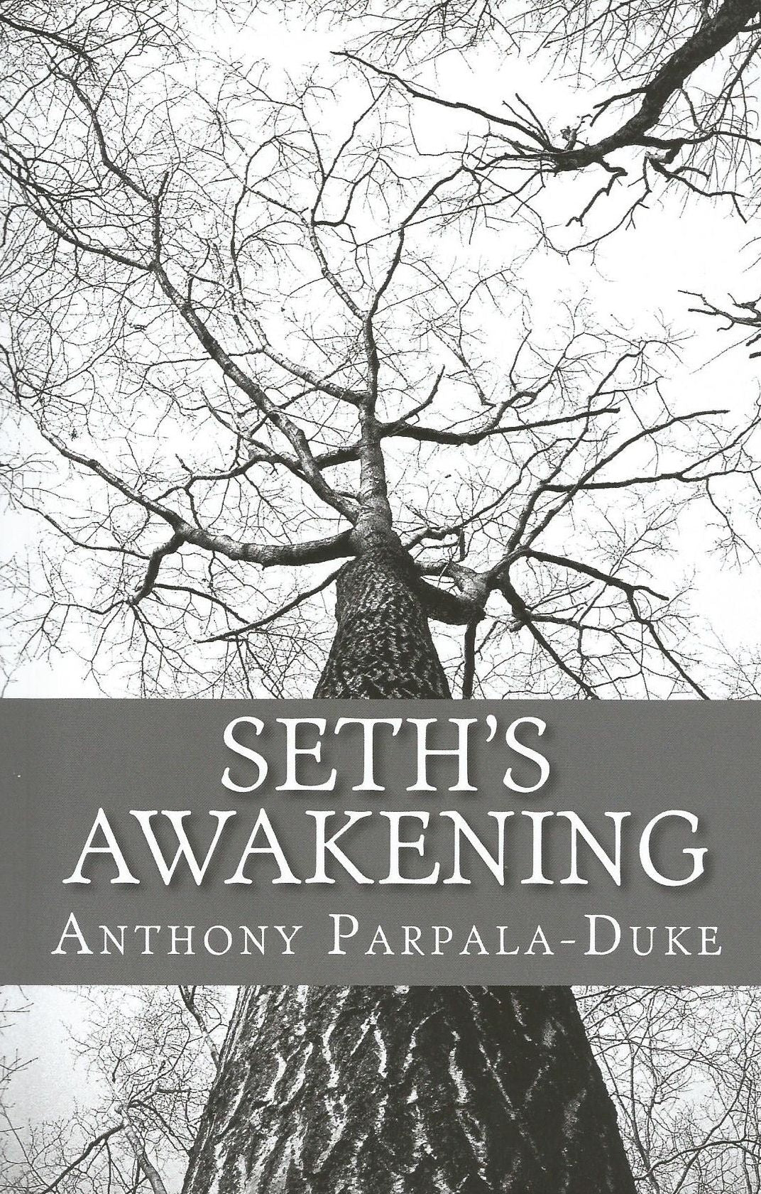 Seth's Awakening