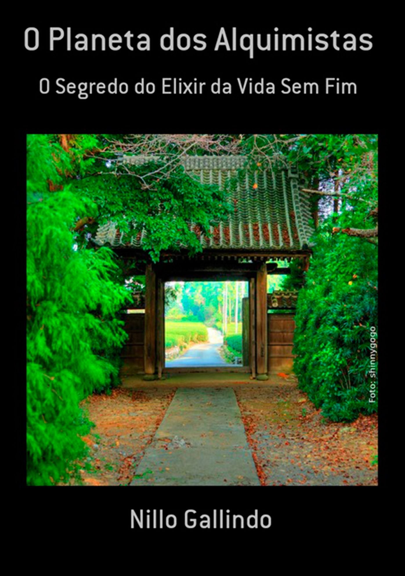 O Planeta Dos Alquimistas