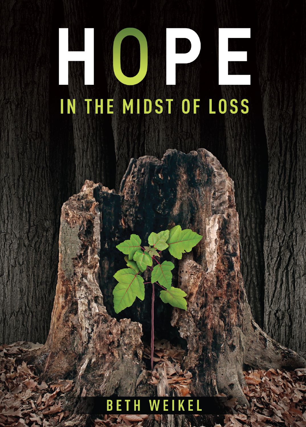 Hope in the Midst of Loss