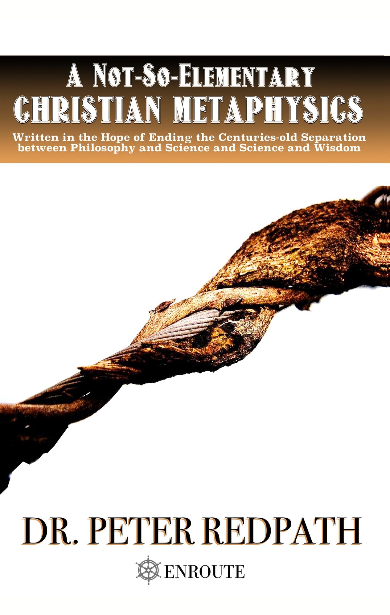 A Not-So-Elementary Christian Metaphysics