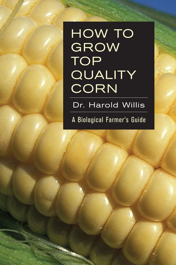 How to Grow Top-Quality Corn