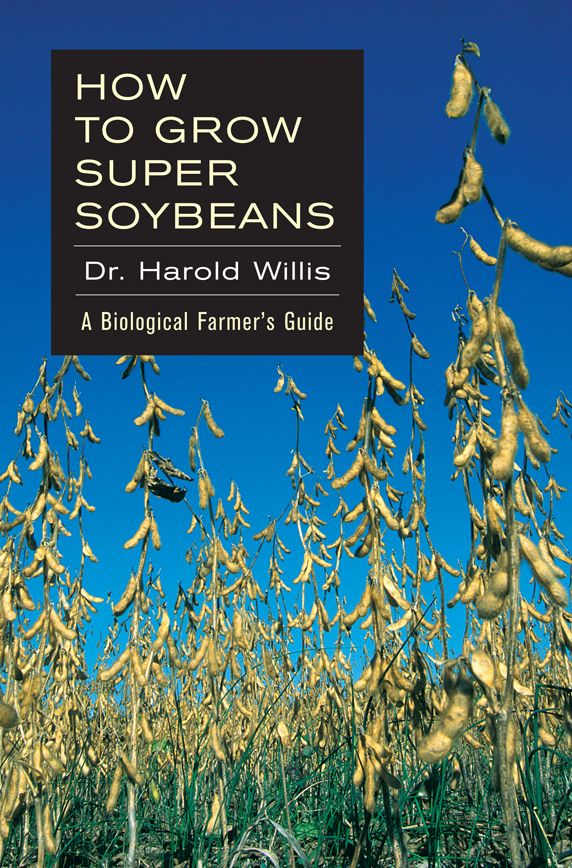 How to Grow Super Soybeans