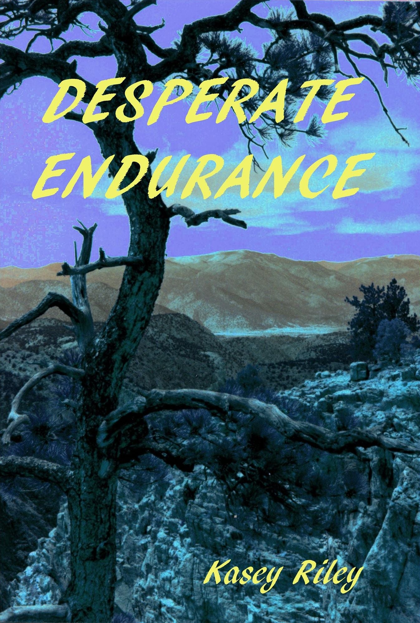 Desperate Endurance