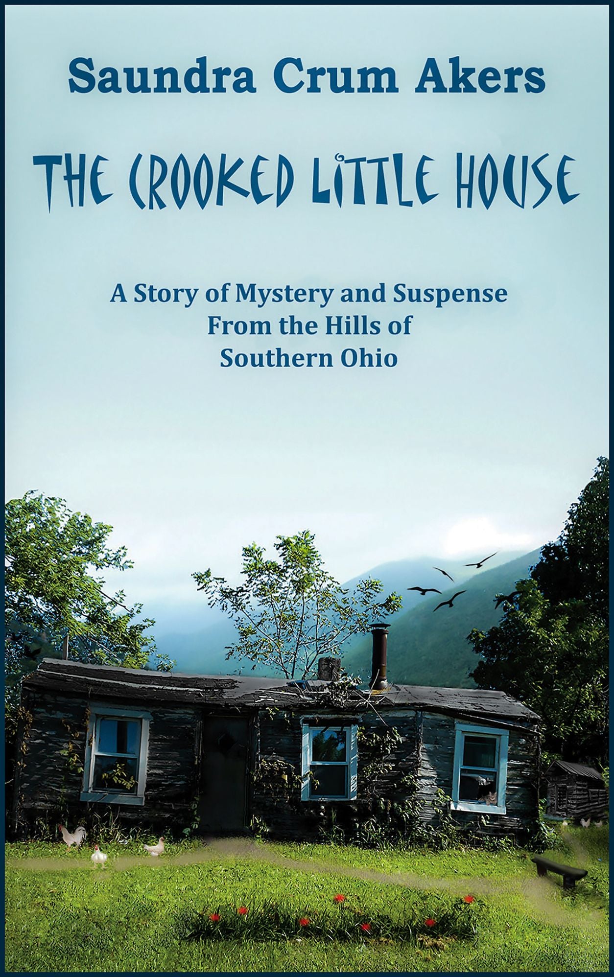 The Crooked Little House