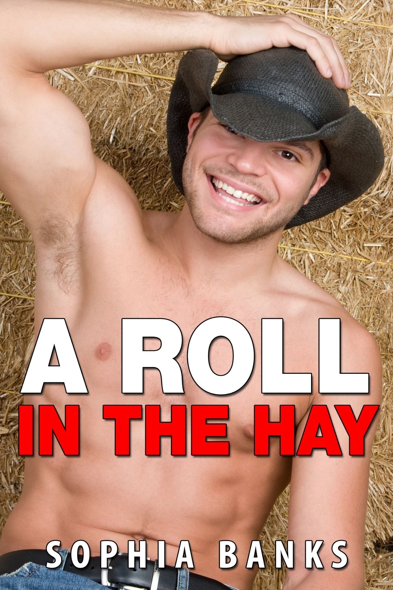 A Roll In The Hay (BWWM Pregnancy Erotica)