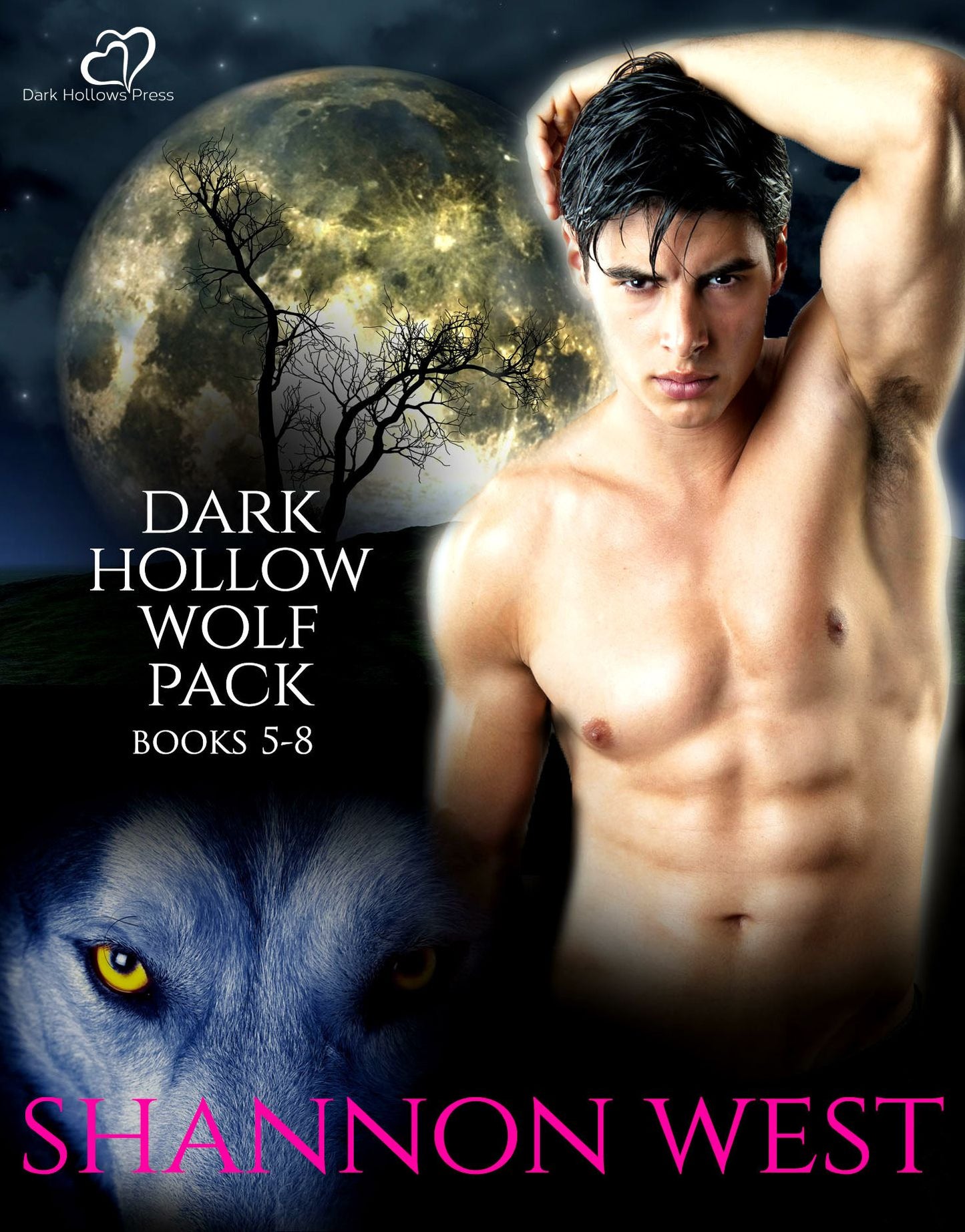 Dark Hollow Wolf Pack, Vol 2