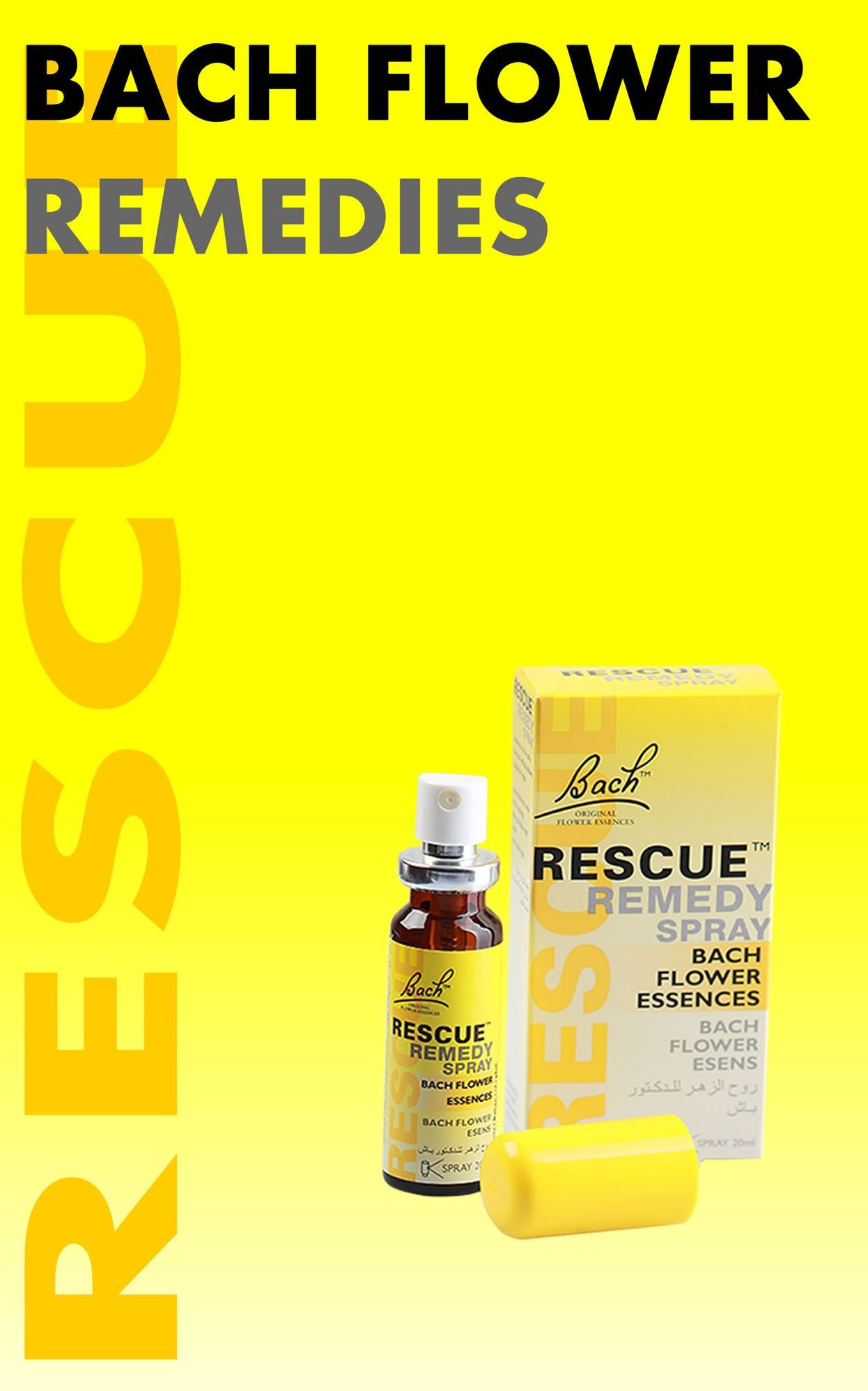 Bach Flower Remedies