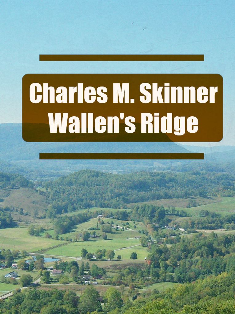Wallen's Ridge