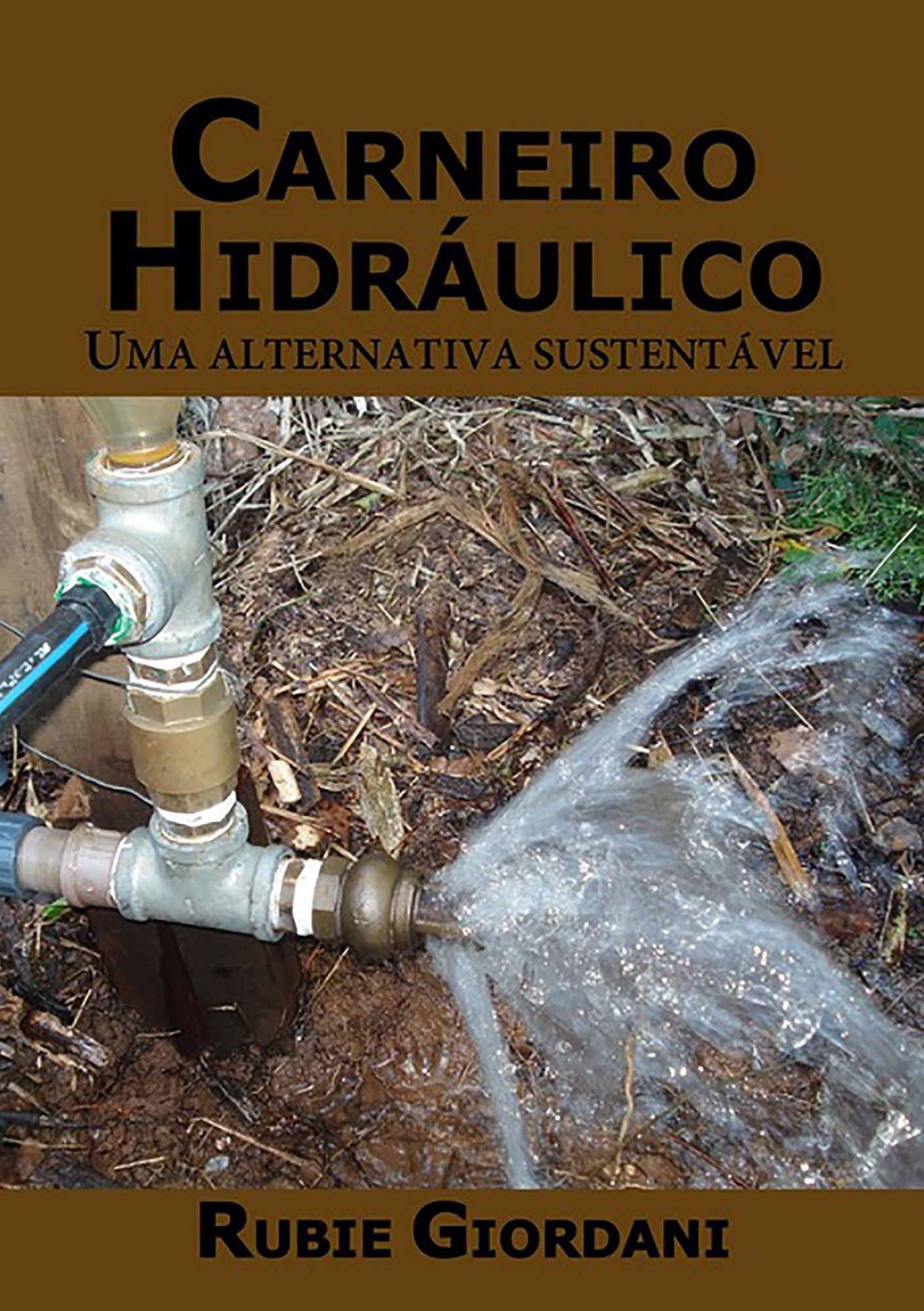 Construcao Do Carneiro Hidraulico