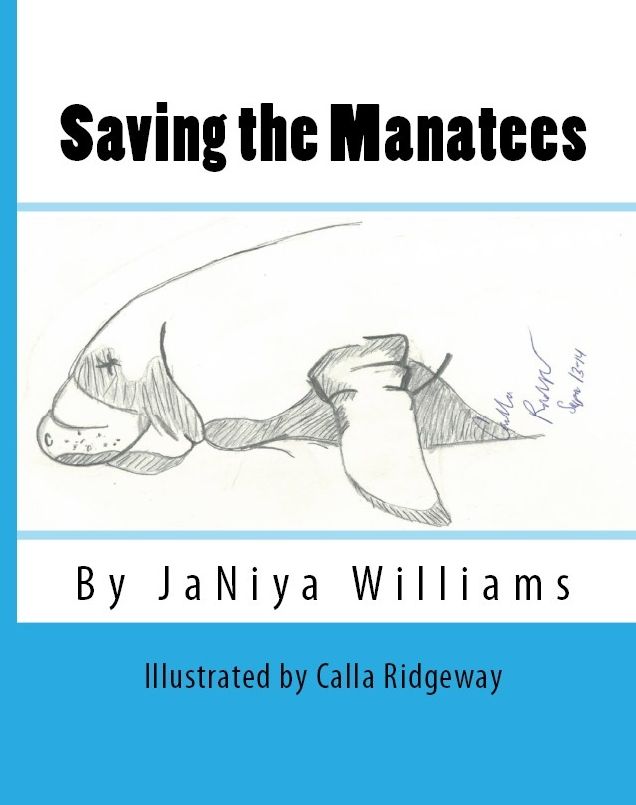 Saving the Manatees