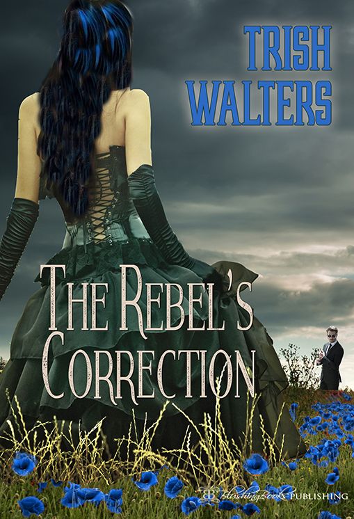 The Rebel's Correction