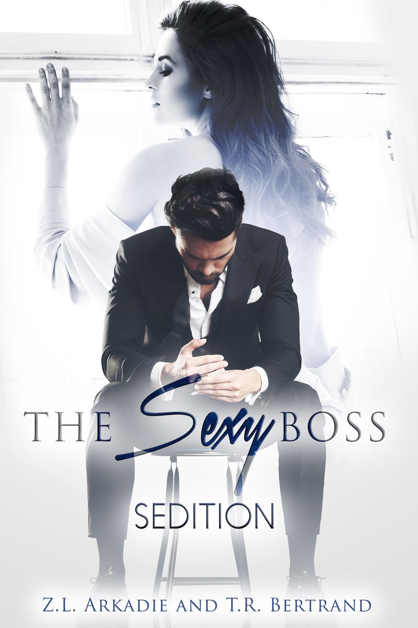 The Sexy Boss - Sedition