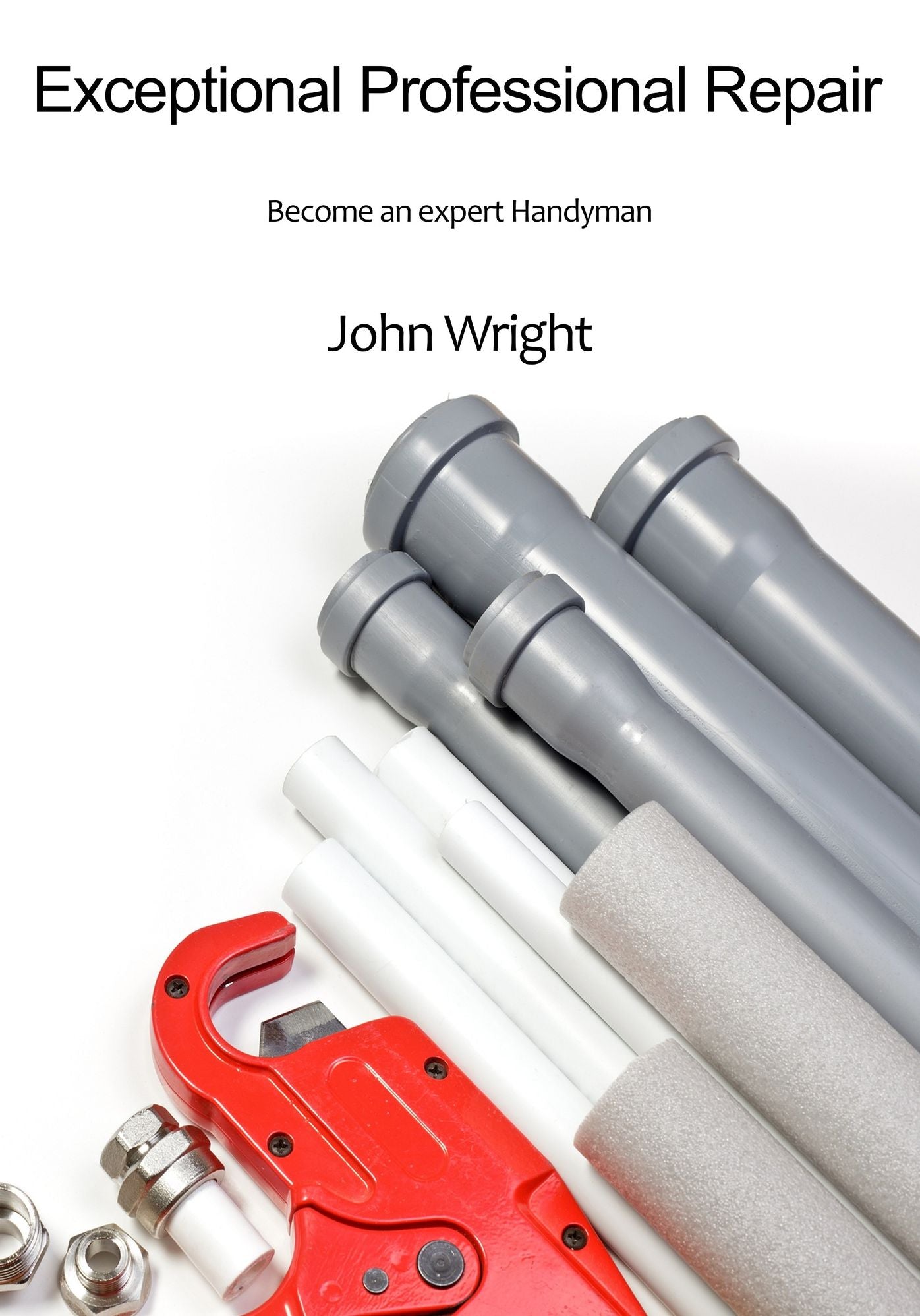 Exceptional Professional Repair