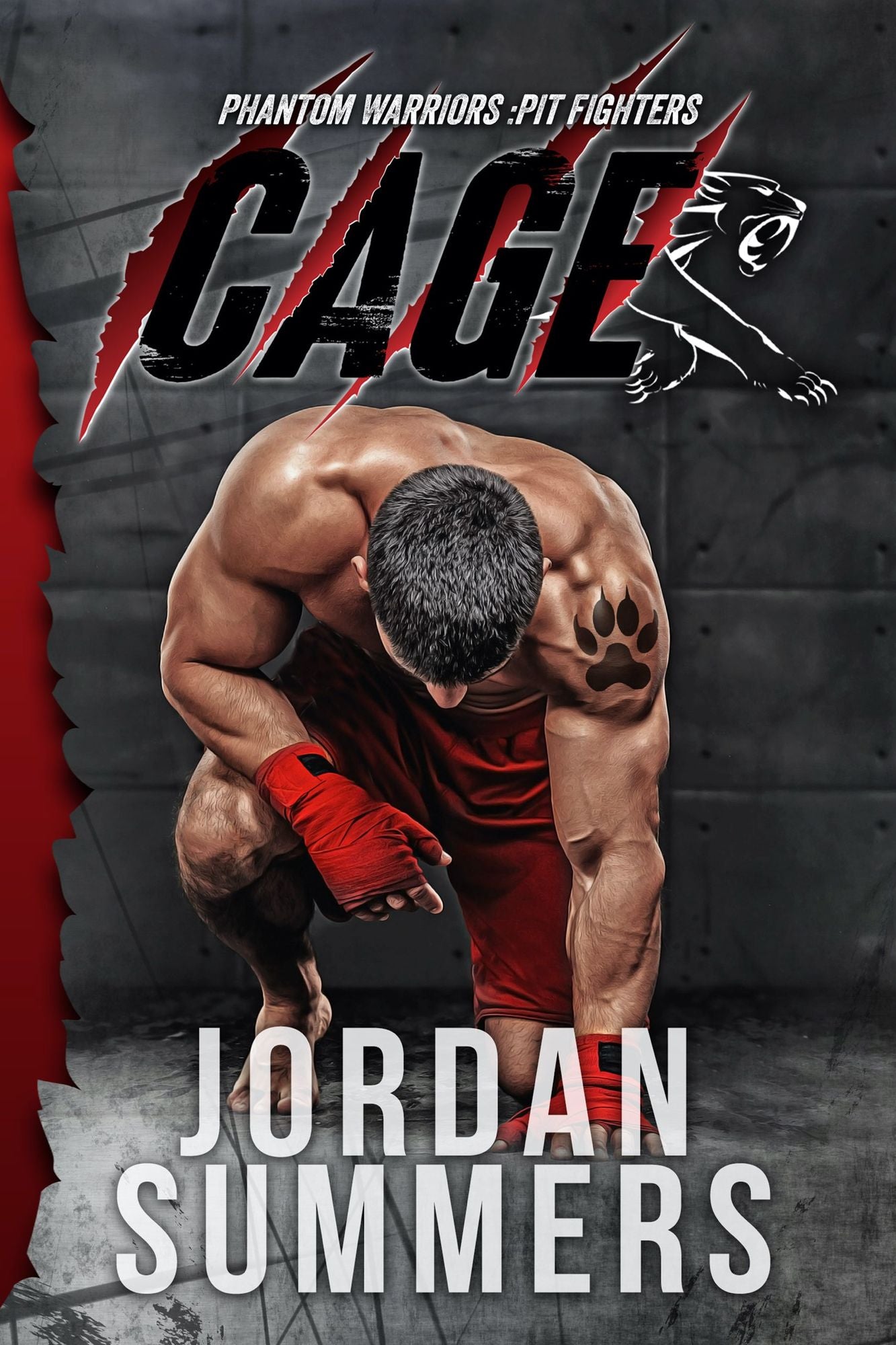 Pit Fighters: Cage (MMA ROMANCE)