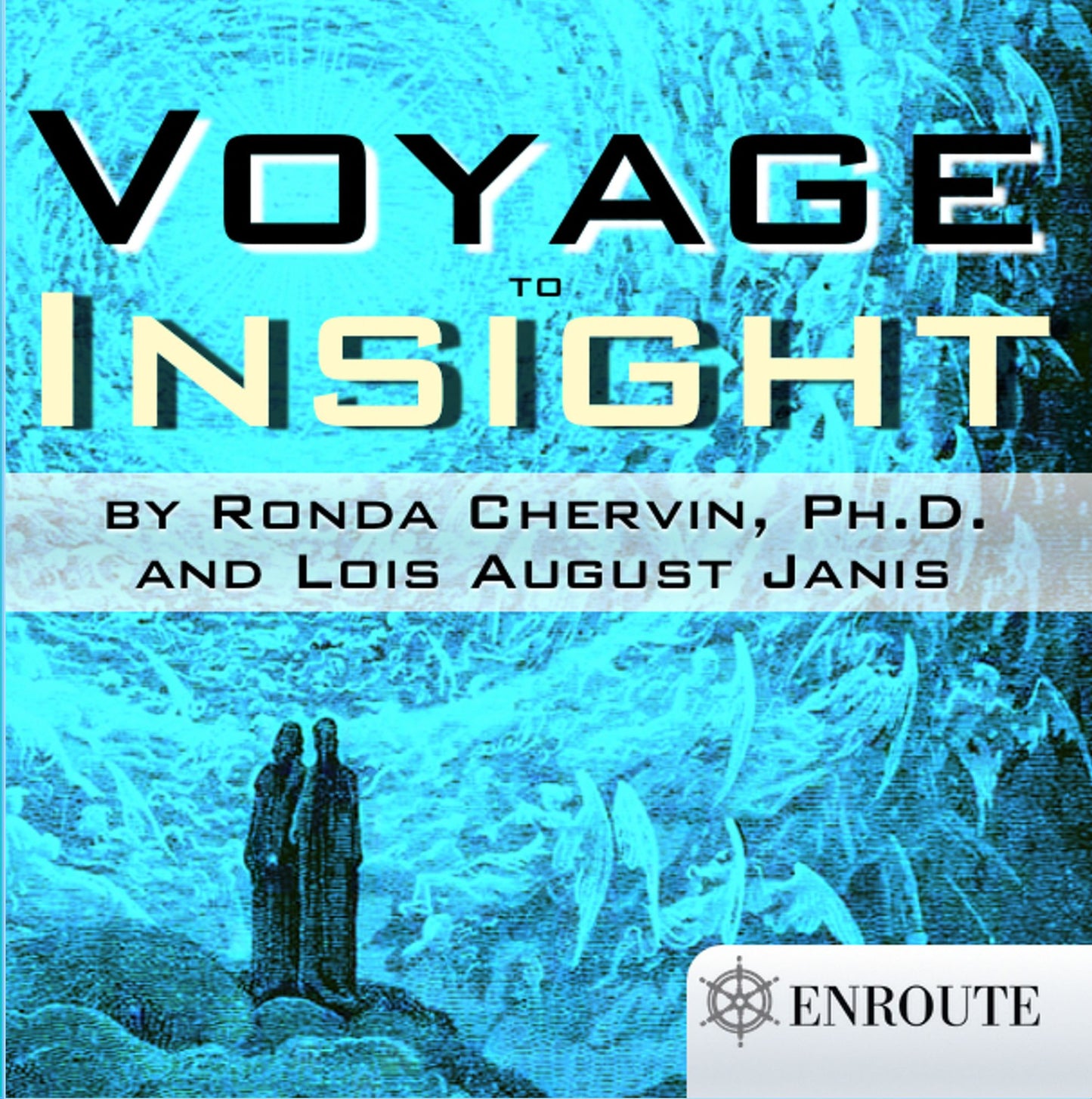 Voyage to Insight