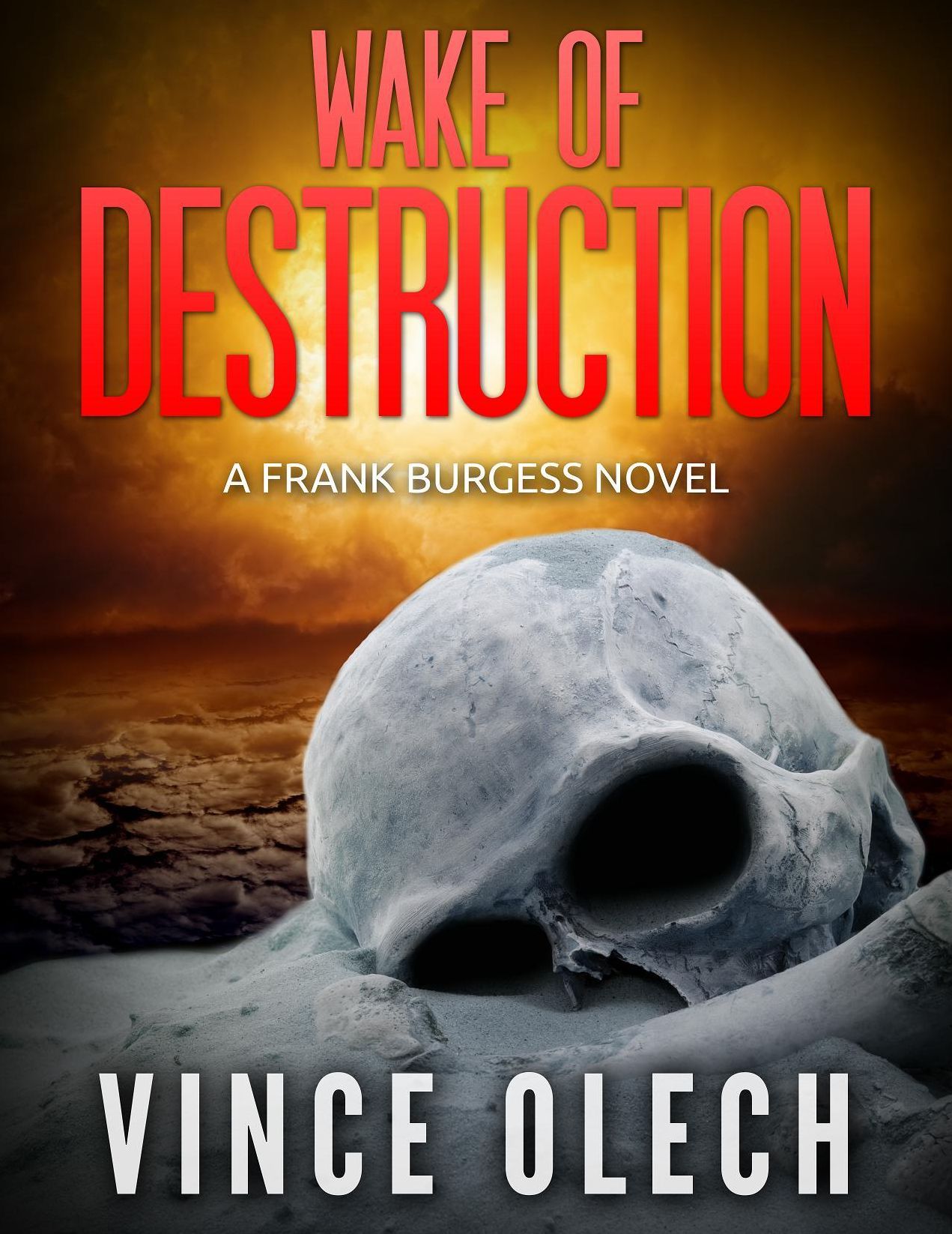 Wake Of Destruction A Frank Burgess Novel