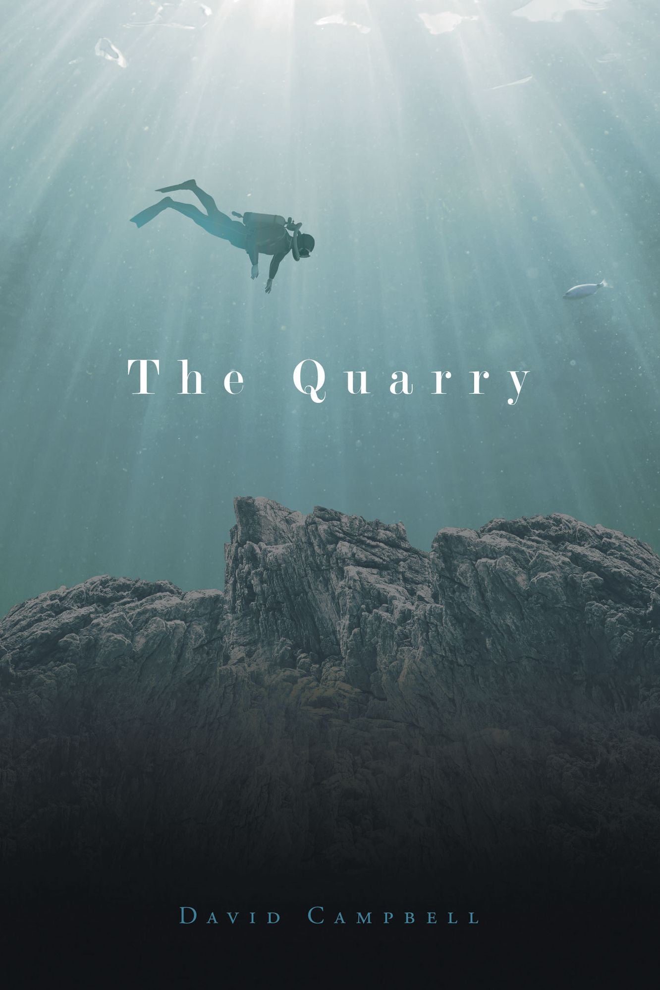 The Quarry