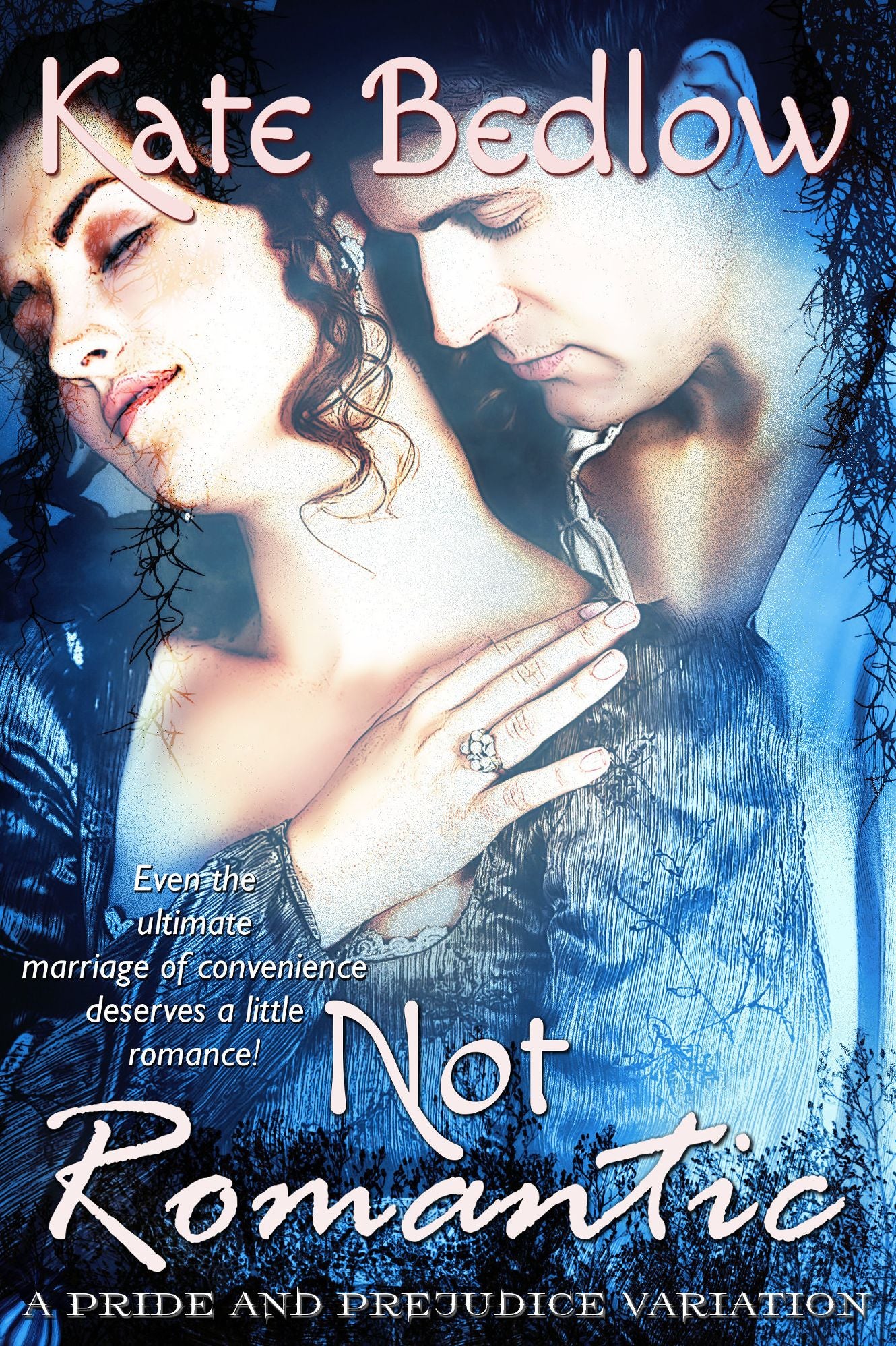 Not Romantic: A Pride and Prejudice Variation