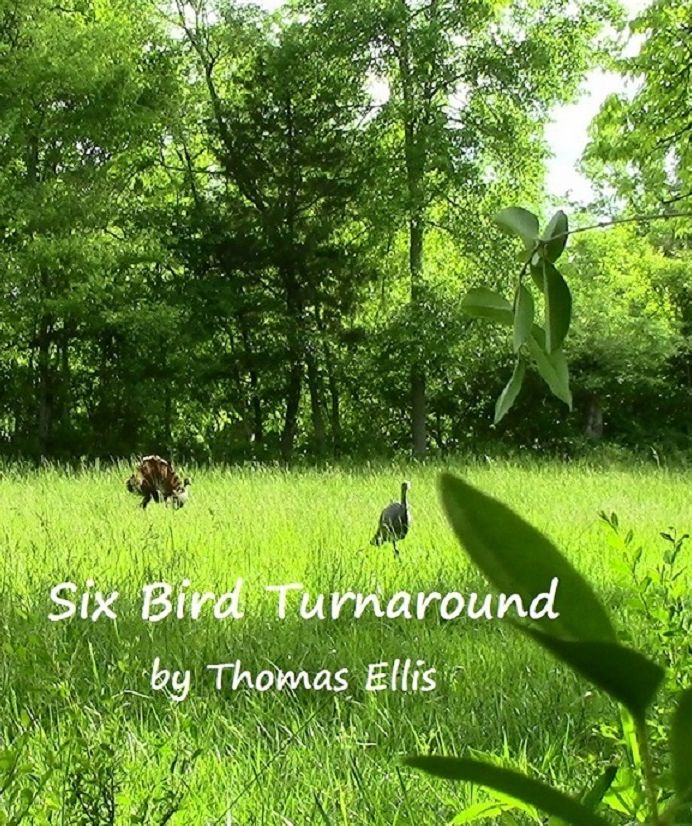 Six Bird Turnaround