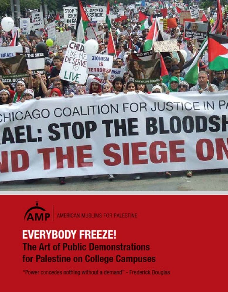 Everybody Freeze! The Art of Public Demonstration for Palestine on College Campuses