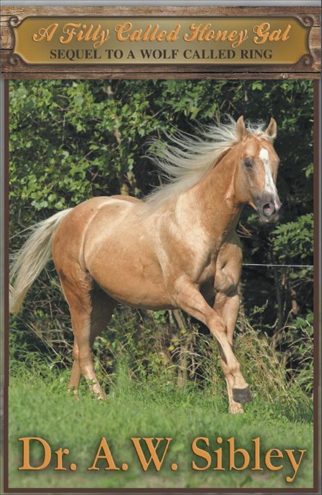 A Filly Called Honey Gal "Sequel to A Wolf Called Ring"