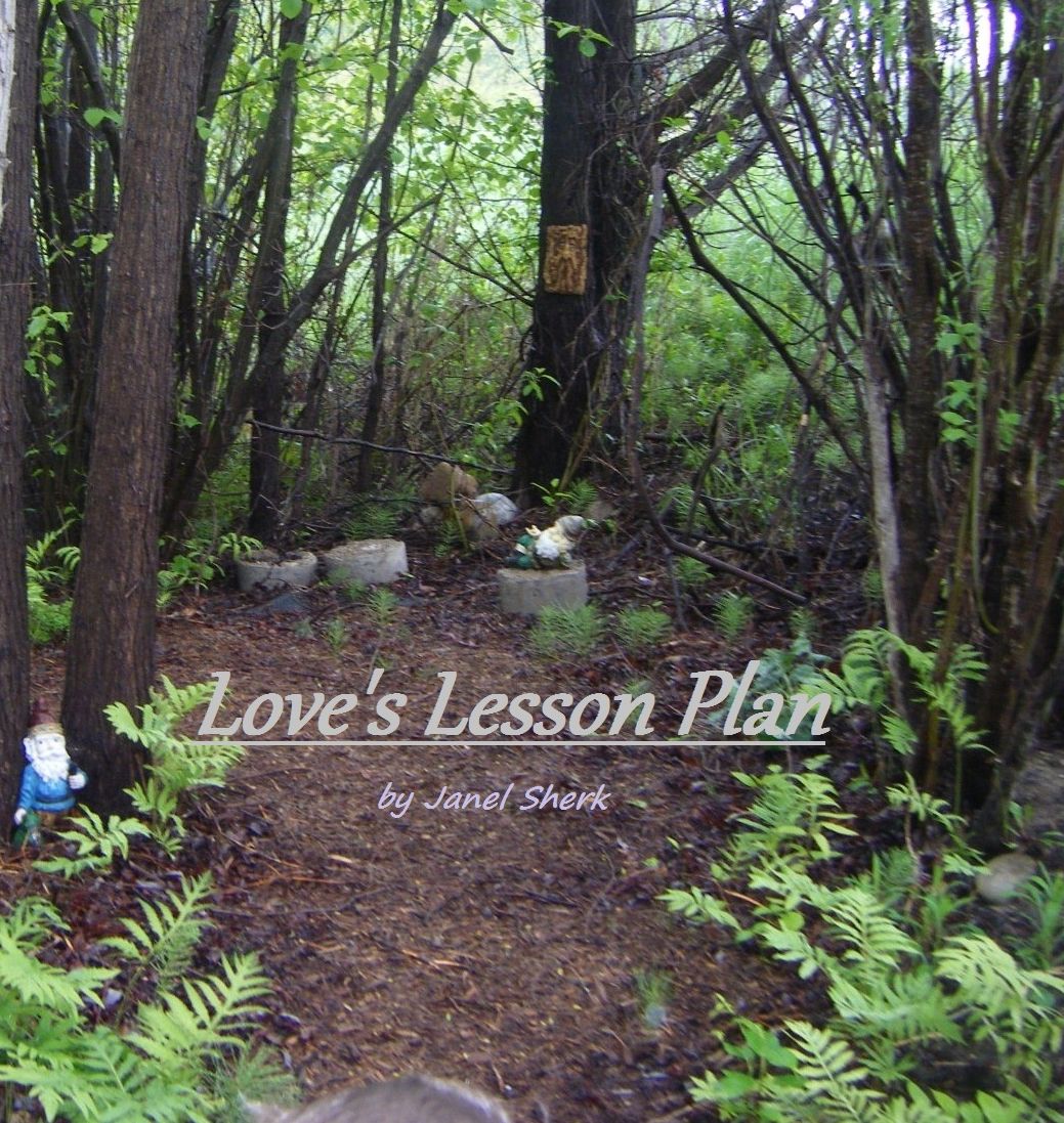 Love's Lesson Plan