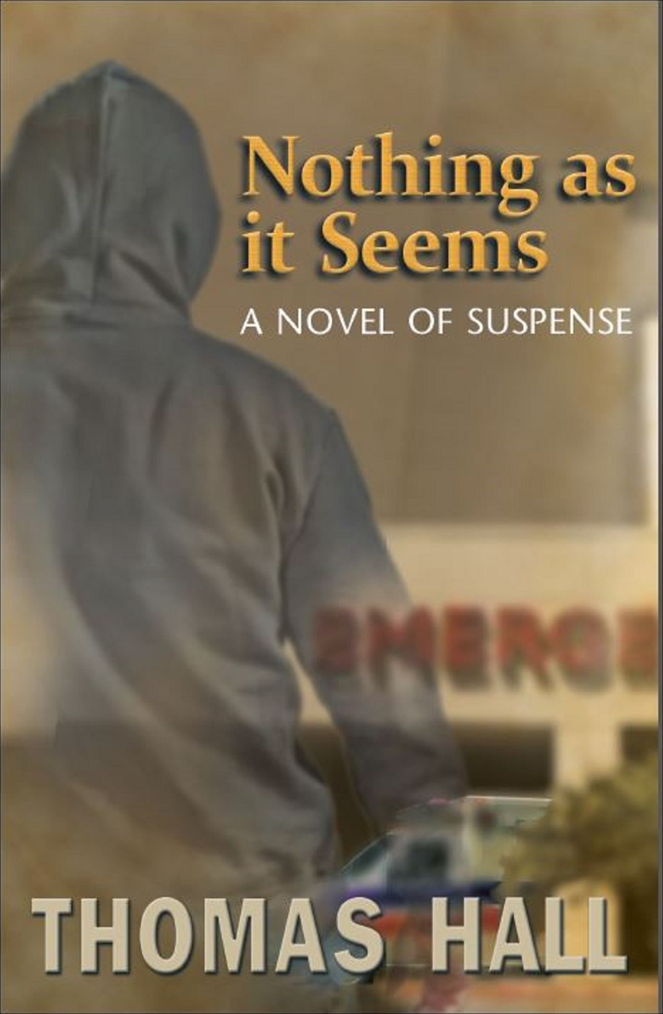 Nothing as it Seems A Novel of Suspense
