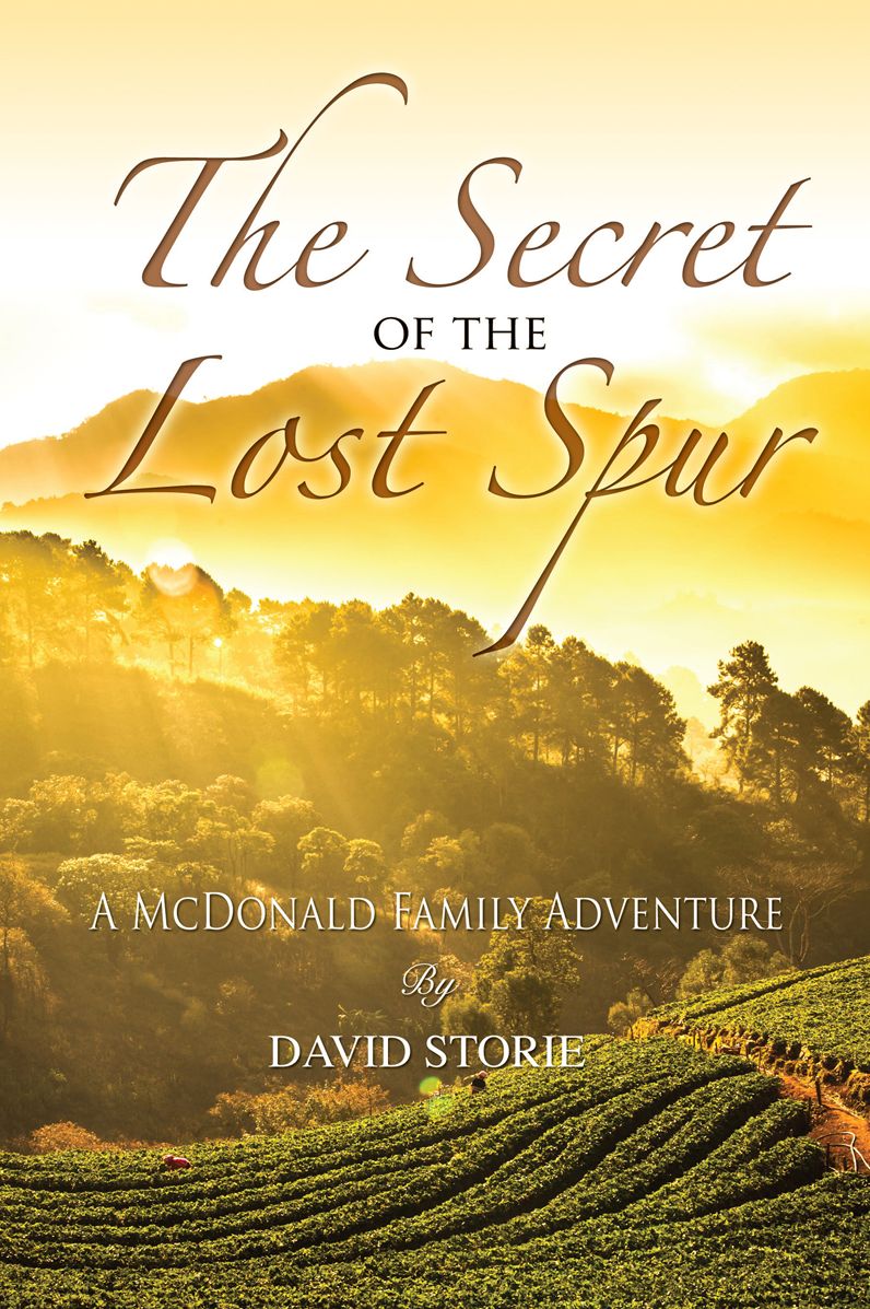 The Secret of the Lost Spur