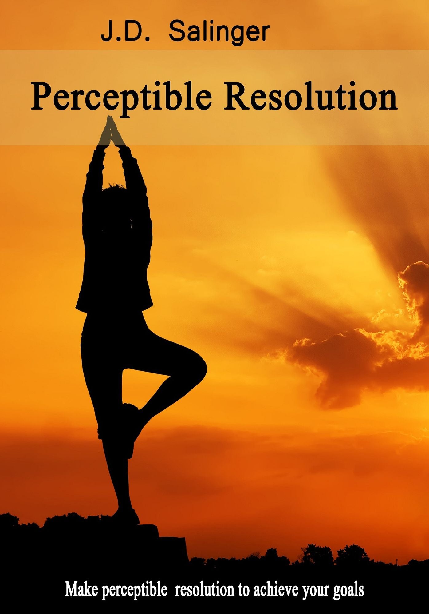 Perceptible Resolution