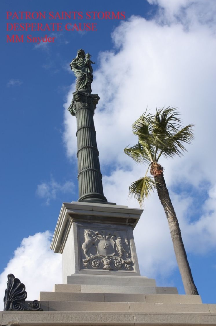 PATRON SAINTS STORMS DESPERATE CAUSE