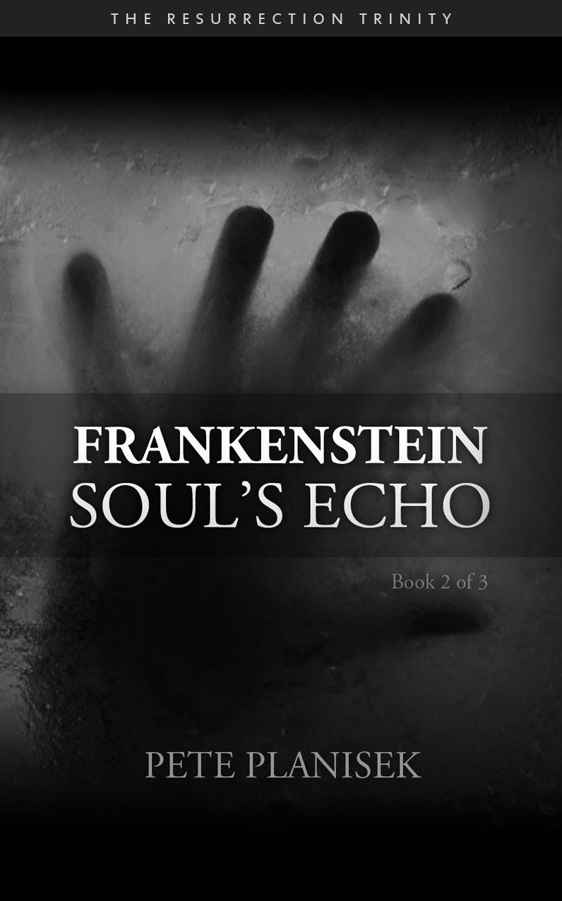 Frankenstein Soul's Echo (Book 2 of 3) The Resurrection Trinity