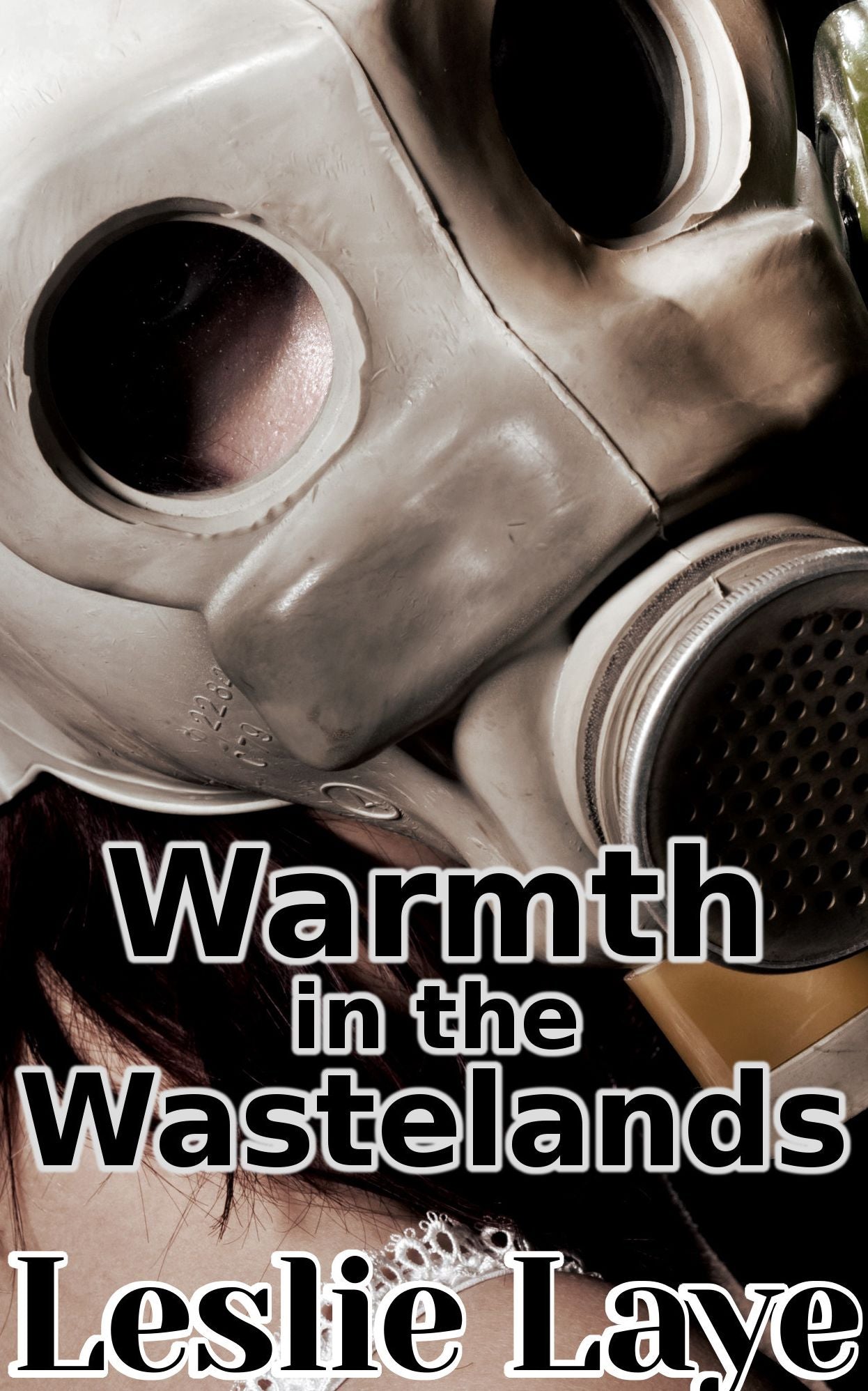 Warmth in the Wastelands (A Post-Apocalyptic Lesbian Romance)