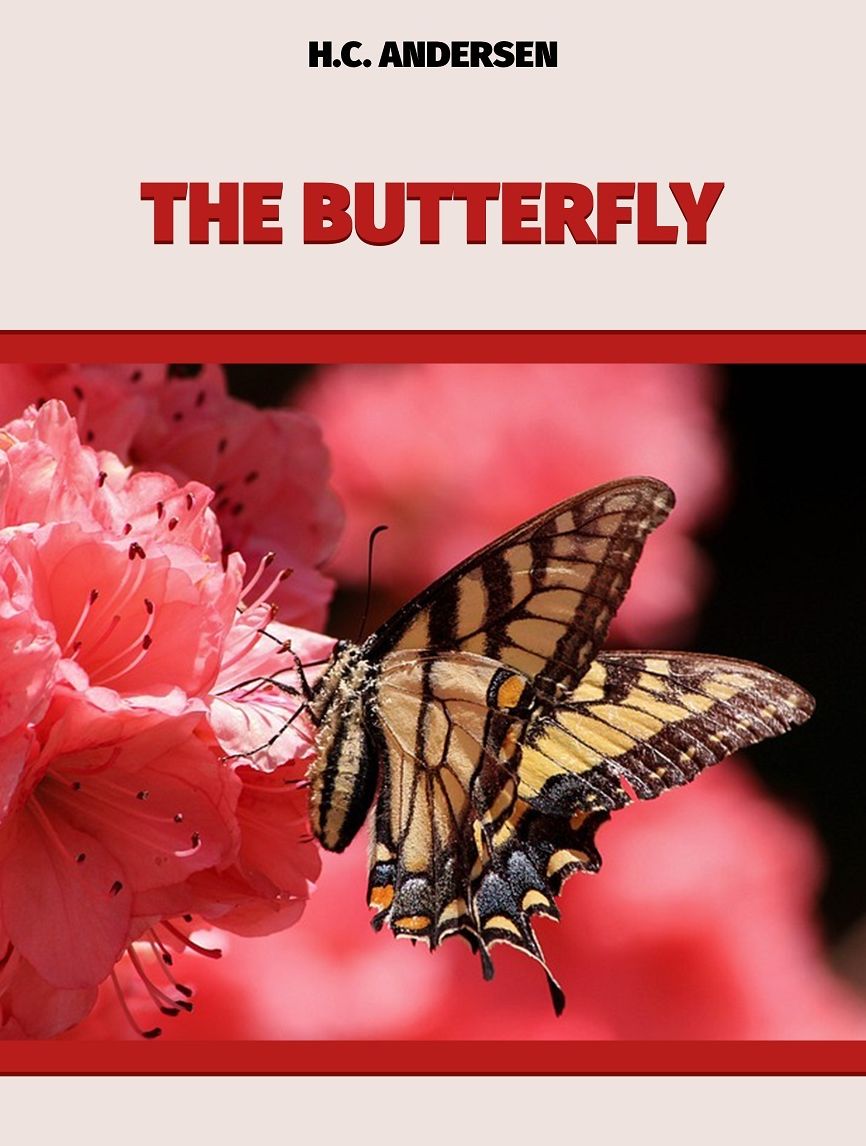 The Butterfly