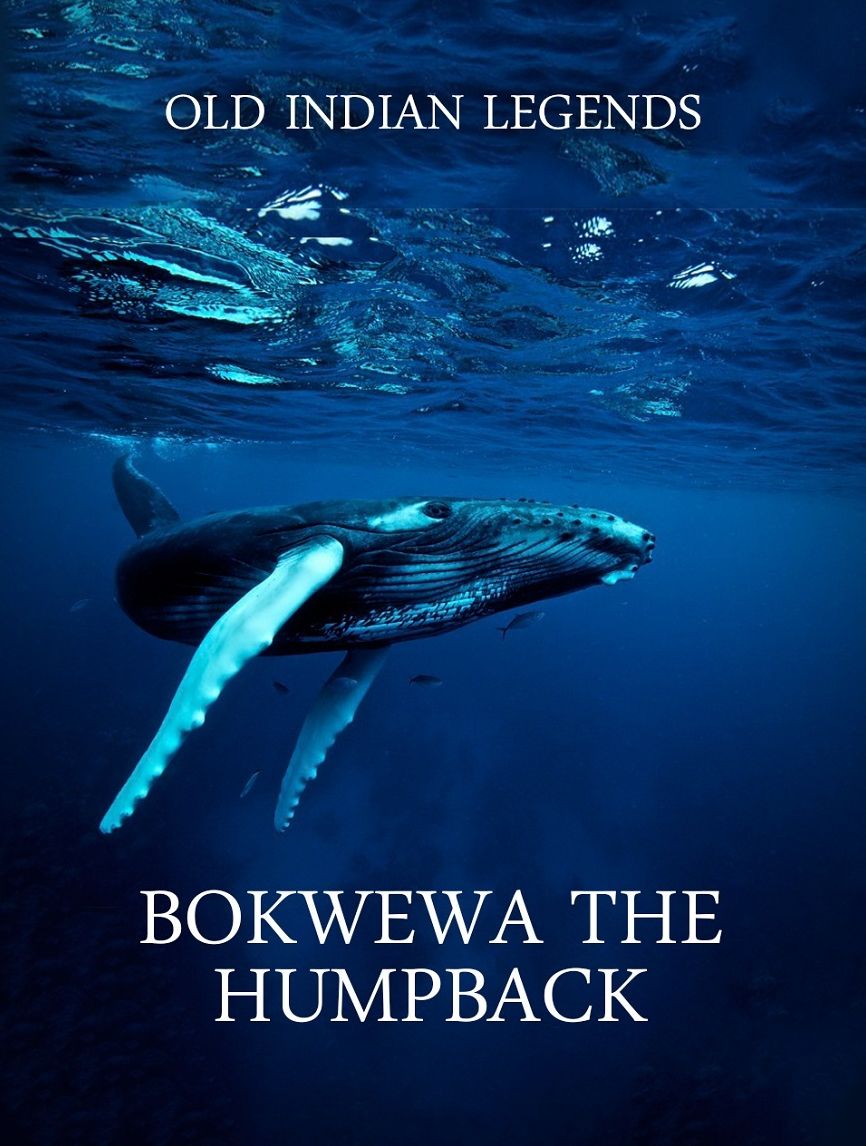 Bokwewa the Humpback