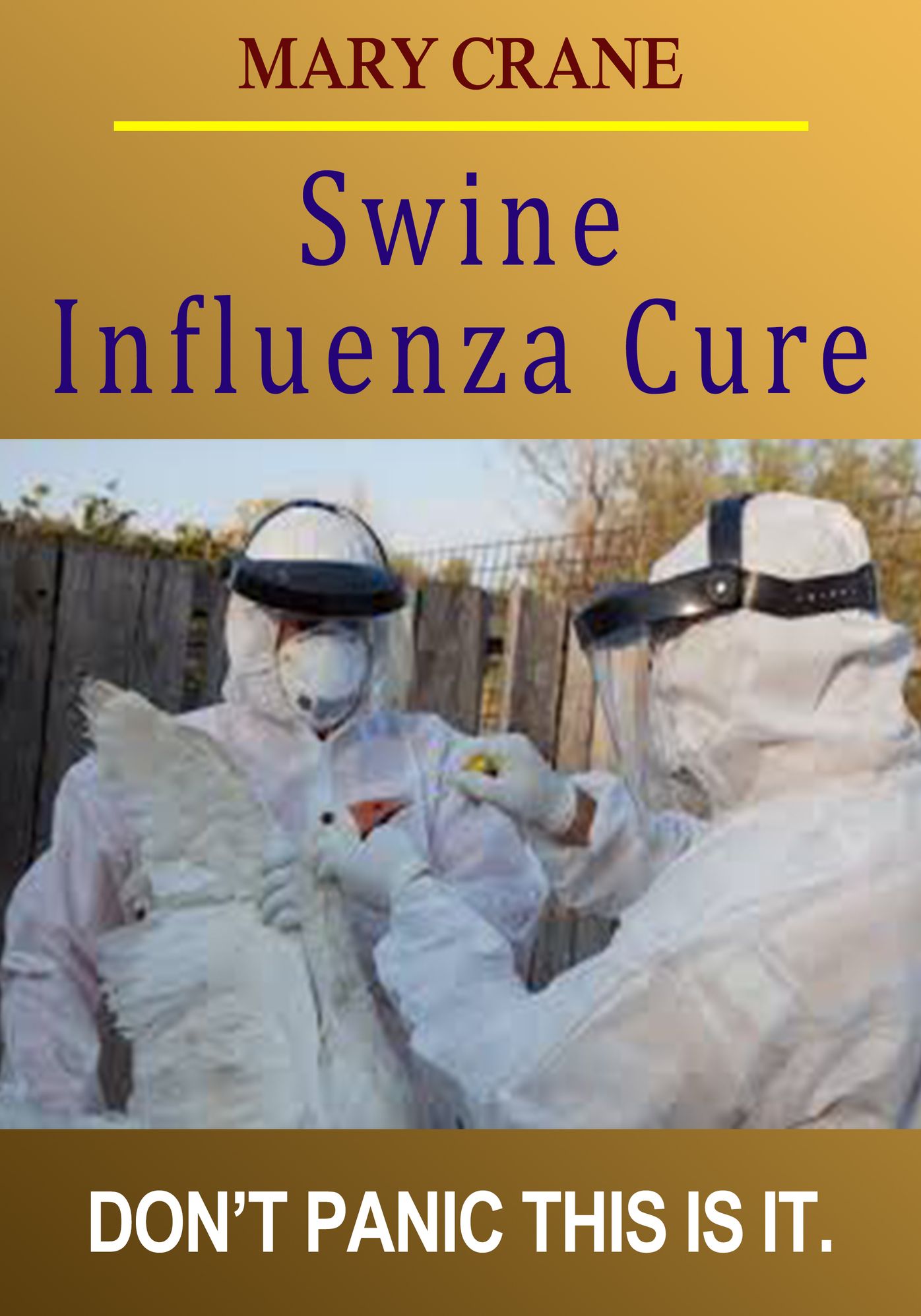 Swine Influnza Cure: Don't Panic this is it