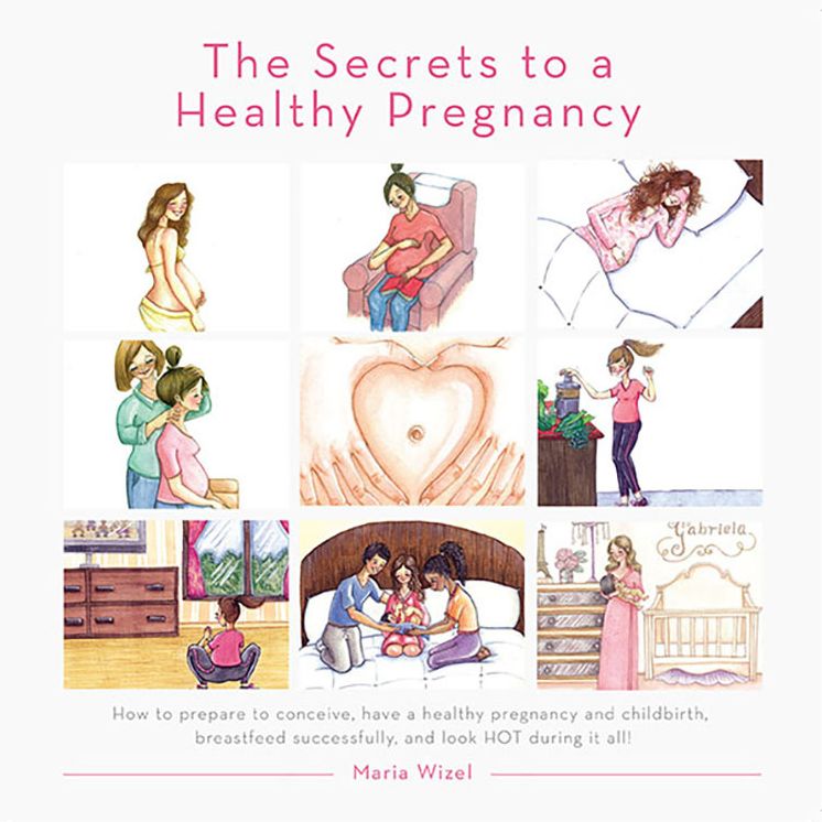 The Secrets to a Healthy Pregnancy: How to prepare for conception, have a healthy pregnancy and childbirth, successfully breastfeed, and look HOT during it all!